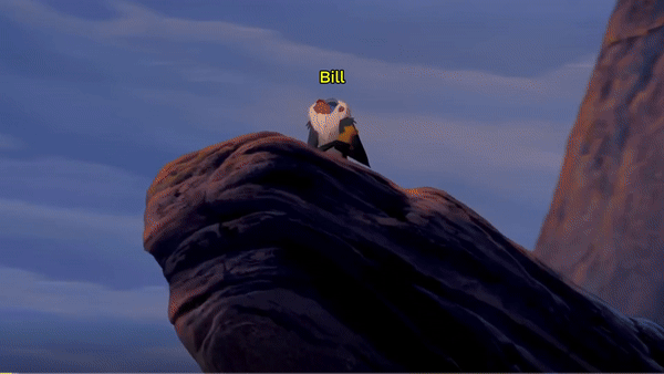 shows Rafiki from Lion King holding up Simba